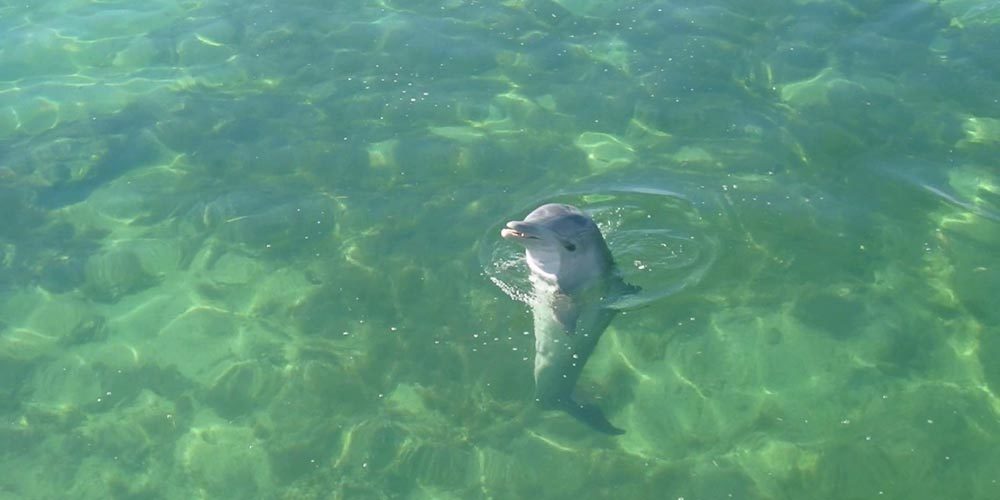 Cayo Blanco