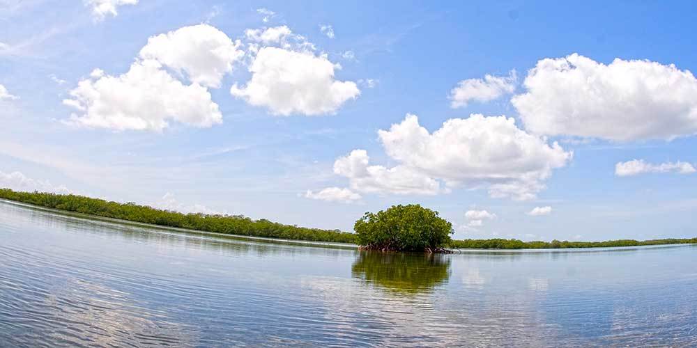 Cayo Coco