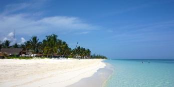 Excursión a Cayo Levisa